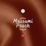 Massumi Wolfis - 67 Terracotta
